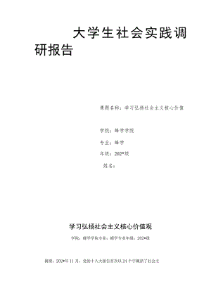 大学生社会实践调研报告.docx