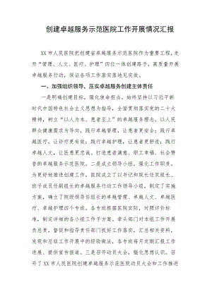 创建卓越服务示范医院工作开展情况汇报范文.docx