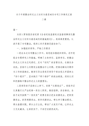 关于开展整治形式主义 切实为基层减负专项工作情况汇报二篇.docx