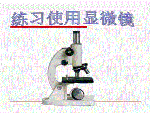 显微镜的结构及使用方法.ppt