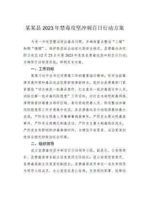 某某县2023年禁毒攻坚冲刺百日行动方案.docx