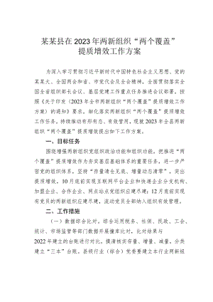 某某县在2023年两新组织“两个覆盖”提质增效工作方案.docx