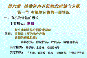 植物生理学第六章.ppt