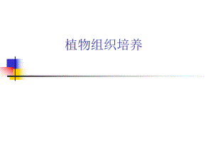 植物组织培养实验 (新).ppt