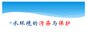 水环境的污染与保护PPT.pptx