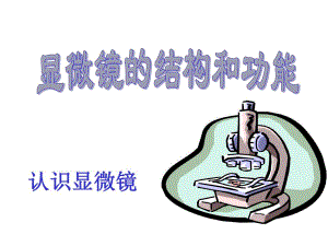 显微镜的结构及使用.ppt