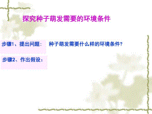 探究种子萌发的环境条件讲稿.ppt