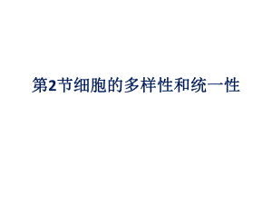 显微镜的使用低倍镜高倍镜.ppt