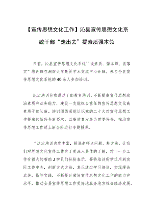 【宣传思想文化工作】沁县宣传思想文化系统干部“走出去”提素质强本领.docx