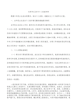 支部书记23年个人检查材料.docx