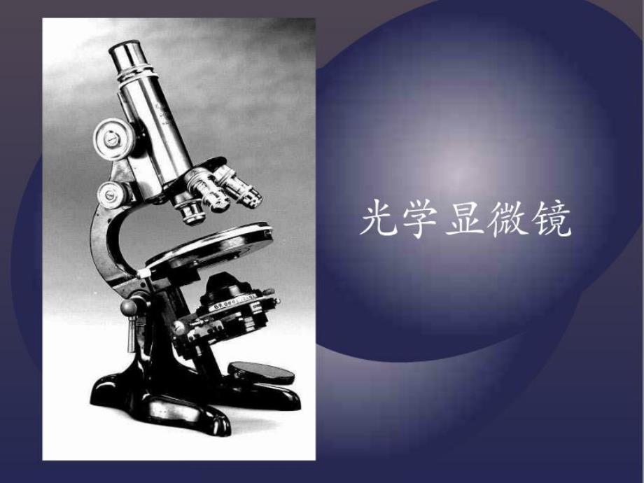 科学微观世界.ppt_第3页