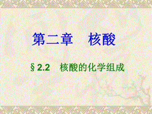 第04章核酸之2.ppt
