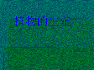 植物的生殖和发育.ppt