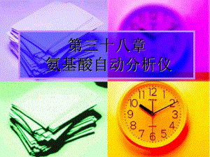 氨基酸自动分析仪.ppt