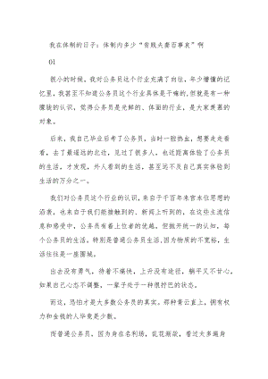 我在体制的日子：体制内多少“贫贱夫妻百事哀”啊.docx