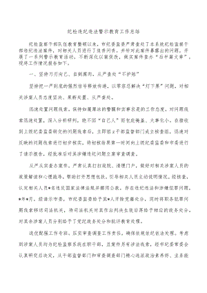 纪检违纪违法警示教育工作总结.docx