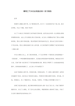 暑假三下乡社会实践总结—实习报告.docx