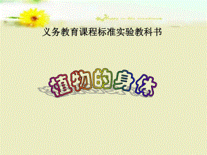植物的身体——说课课件.ppt