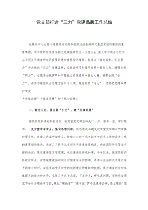 党支部打造“三力”党建品牌工作总结.docx