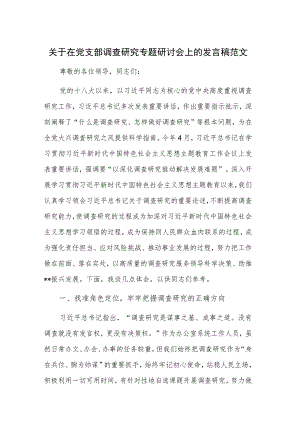 关于在党支部调查研究专题研讨会上的发言稿范文.docx