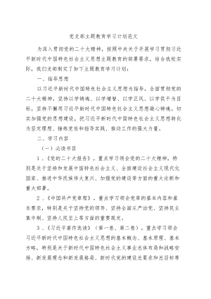 支部主题教育学习计划方案.docx