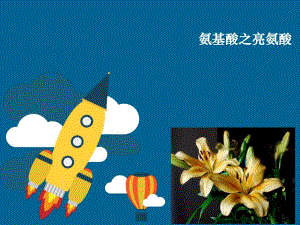 氨基酸之亮氨酸.ppt