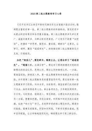 2023第二批主题教育学习心得3篇.docx