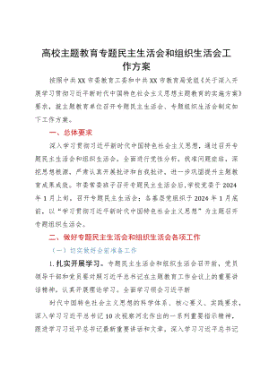 高校主题教育专题民主生活会和组织生活会工作方案.docx