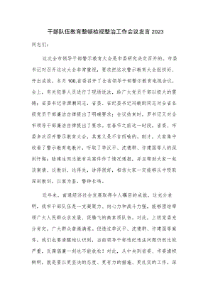 干部队伍教育整顿检视整治工作会议发言2023.docx