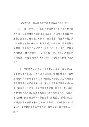 2023年第二批主题教育专题研讨会上的发言材料.docx