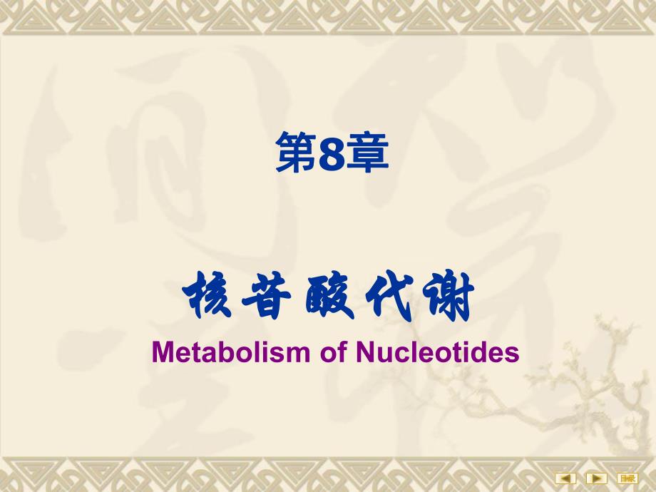 第08章核苷酸代谢.ppt_第1页