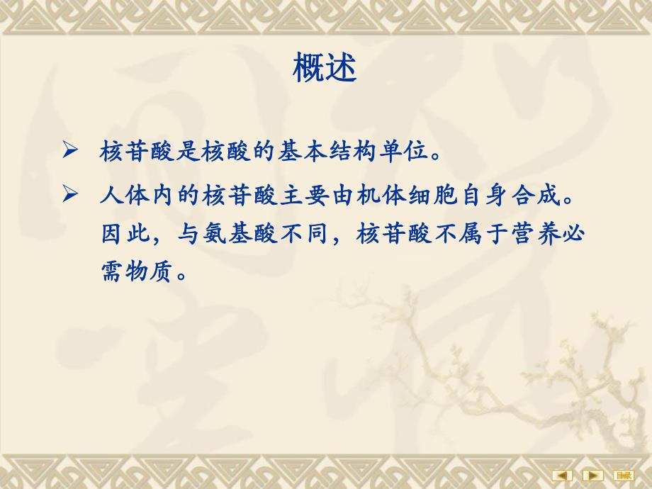 第08章核苷酸代谢.ppt_第2页