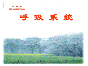 第06章呼吸系统.ppt