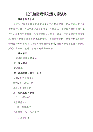 防汛抢险现场处置方案演练.docx