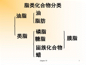 第10章脂类化合物双语.ppt