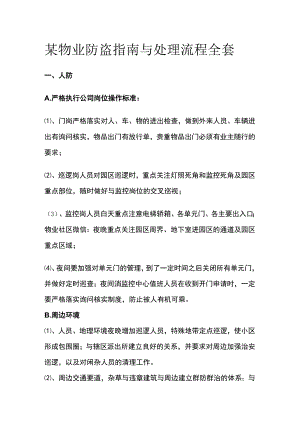 某物业防盗指南与处理流程全套.docx