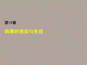 病毒的感染与免疫.ppt