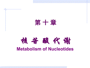 第10章核苷酸.ppt