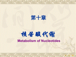 第10章核苷酸代谢.ppt