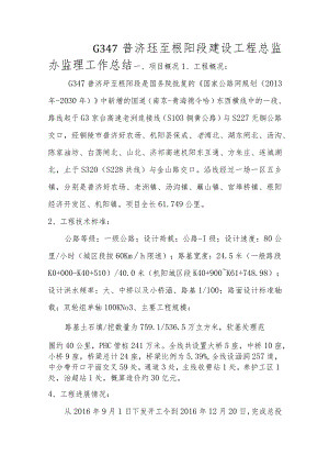 总监办工作总结.docx