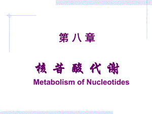 第08章核苷酸改.ppt