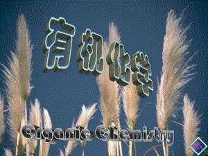 第10章杂环化合物.ppt