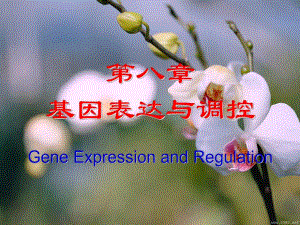 第08章基因表达与调控.ppt