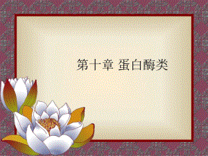 第10章蛋白酶类.ppt