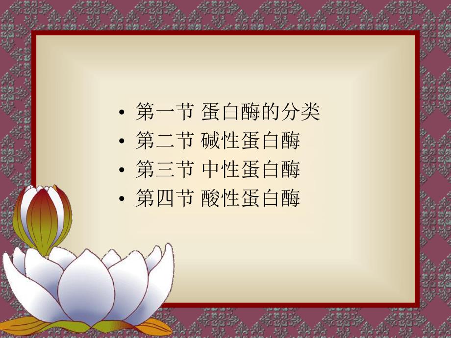 第10章蛋白酶类.ppt_第3页