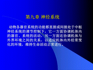 第09章神经系统.ppt