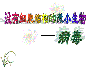 病毒与人类的关系名师编辑PPT课件.ppt