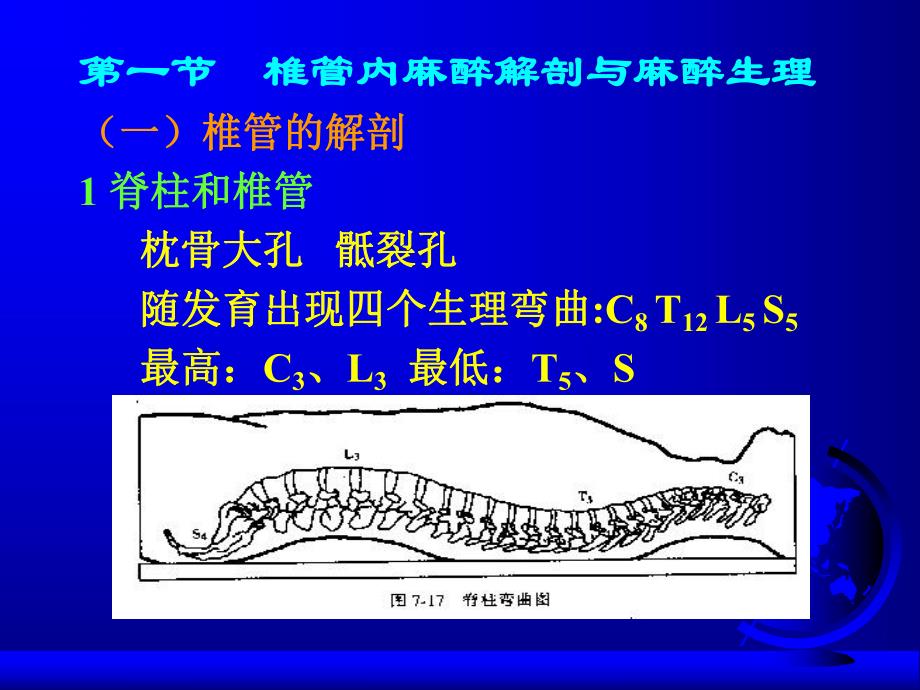 第10章椎管内麻醉名师编辑PPT课件.ppt_第3页