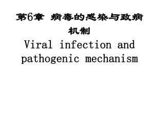 病毒的感染与致病机制名师编辑PPT课件.ppt