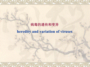 病毒的遗传和变异.ppt